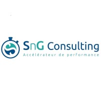 SnG Consulting logo - Similar company to Poder Judicial Del Estado De Hidalgo
