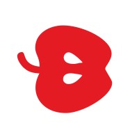 Bernina d.o.o. logo - Similar company to Plac.Hr