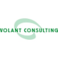 Volant Consulting, Inc.