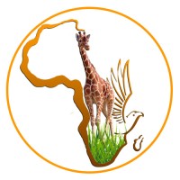 Grandnexus Africa logo - Similar company to Empathy Tours