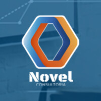 Novel Consultoria logo - Similar company to Virtuelo