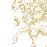 Peloris Marketing logo - Similar company to Carolus Intelligence