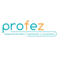 Profez, Professionals in Financiën en Zorg logo - Similar company to Kwaliteitsborger.Nl