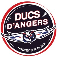 Les Ducs d'Angers logo - Similar company to Ufab49 | Union Féminine Angers Basket