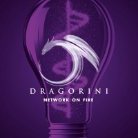 Dragorini logo - Similar company to Vivook