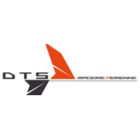 DTS-Security logo - Similar company to Mazouma
