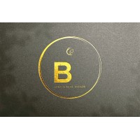 Big Africa Real Estate logo - Similar company to Aaaaa
