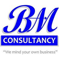 BAM Consultancy LS logo - Similar company to Nucleusdevs