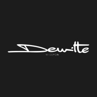 Dewitte Wired logo - Similar company to Spherel Systemes