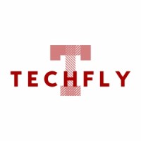 Techfly Software logo - Similar company to Techfly