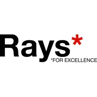 Rays - for excellence logo - Similar company to Critical Tech