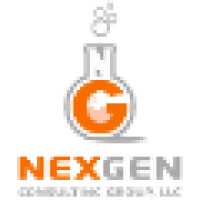 NexGen Consulting Group, LLC logo - Similar company to Nexgen It Solutions