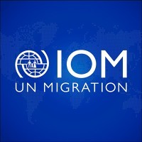 IOM Lebanon logo - Similar company to Strata.