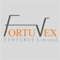 FORTUVEX VENTURES LTD. logo - Similar company to Deleezy