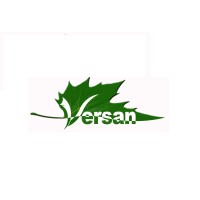Versan Ltd. logo - Similar company to Kolff España