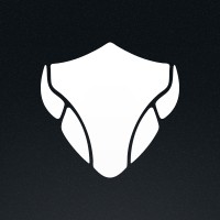 Black Bison Cyber logo - Similar company to Black Bison