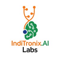 IndiTronix AI Labs logo - Similar company to Jeanzcorp