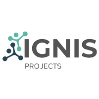 IGNIS Projects logo - Similar company to Tortai Technology Co., Ltd