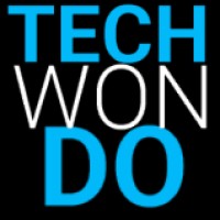 TechWonDo logo - Similar company to Techwondoe