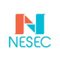 NESEC logo - Similar company to Nesec Fund Management