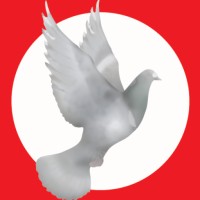 Burngreave Community Action Forum