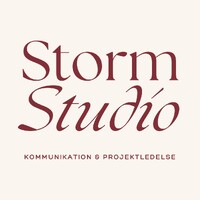 Storm Studio logo - Similar company to Women In Front