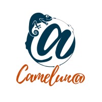 Cameluna logo - Similar company to Bearcub Communication