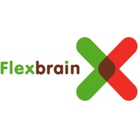 Flexbrain logo - Similar company to Brainnet B.V.