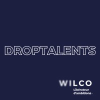 DropTalents by WILCO logo - Similar company to Institut Co-Naissance