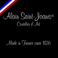 Alain Saint-Joanis logo - Similar company to Profusion Group