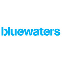 BLUEWATERS CAPITAL ADVISORY PRIVATE LIMITED logo - Similar company to Vivir Consultancy