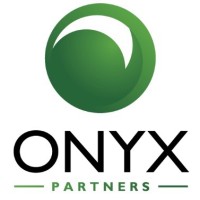 Onyx Partners logo - Similar company to Tevian