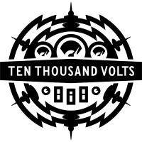 Ten Thousand Volts logo - Similar company to Moonbus Small Business Consultancy