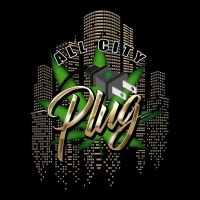 All City Plug Spencer logo - Similar company to Rain Guard, Inc.