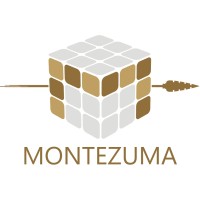 Montezuma.ai logo - Similar company to Techlead Software Engineering Pvt. Ltd.
