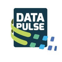 DataPulse.Global logo - Similar company to Datapulse