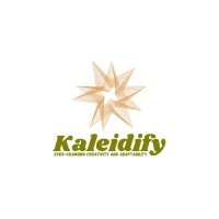Kaleidify logo - Similar company to Innovatech Solutions