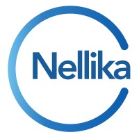 Nellika logo - Similar company to Nellikka