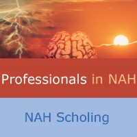 Professionals in NAH - NAH Scholing logo - Similar company to Professionals In Nah - Nah Werktraject