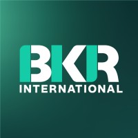 BKR International logo - Similar company to Fir Consulting Srl