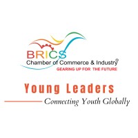 BRICS CCI Young Leaders logo - Similar company to Brics+