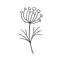 Boulder Death Doula logo - Similar company to Death & Dying Network International