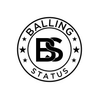 Balling Status logo - Similar company to Miimii
