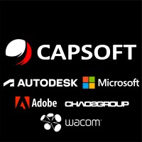 Capsoft logo - Similar company to Capsoft