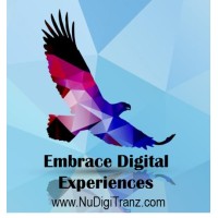 Nudigitranz India Pvt Ltd logo - Similar company to Saturam