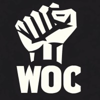 Workers Of Crypto logo - Similar company to Wolfsource
