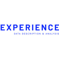 Experience ICT logo - Similar company to Modern It Sa
