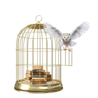 Golden Cage Coaching logo - Similar company to Rsk Lifting Equipment