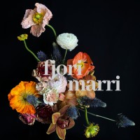 Fjorimarri - Floral Works logo - Similar company to Kekho Group