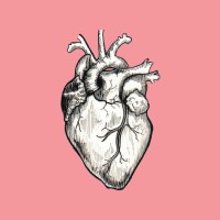 The Heart (Radiotopia from PRX) logo - Similar company to Evermove